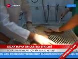 Sıcak Hava Onları da Etkiledi online video izle