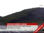 Datça'da Orman Yangını