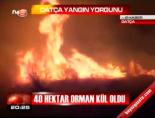 Datça Yangın Yorgunu online video izle