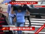 Karadeniz Taştı
