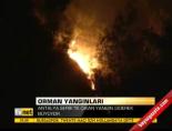 Orman Yangınları