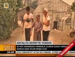 Antalya Serik'te Yangın