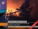Datça'da Orman Yangınları online video izle