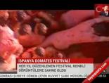 İspanya Domates Festivali online video izle