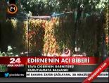 Edirne'nn acı biberi