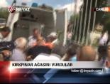 Kırkpınar Ağasını Vurdular