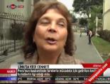 sokak kedisi - Lima'da kedi cinneti Videosu
