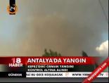 Antalya'da yangın