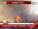 Konyaaltı'nda Orman Yangını