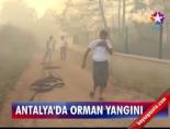 Antalya'da Orman Yangını online video izle