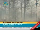 Antalya'da orman yangını online video izle