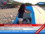 caretta caretta - Caretta Carettalar Korunuyor Videosu