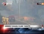 Orman Yangını Panik Yarattı