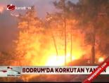 orman yangini - Türkiye'nin ciğerleri yandı Videosu