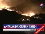 orman yangini - Antalya'da Orman Yandı Videosu