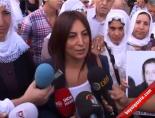 Aysel Tuğluk BDP-PKK Kucaklaşmasını Yorumladı