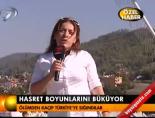 Hasret boyunlarını büküyor