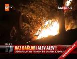 Kaz Dağları alev alev! online video izle