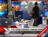 TV stüdyosunda 'yarasa' paniği