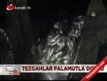 Tezgahlar palamutla doldu