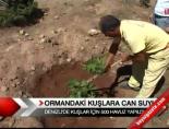 Ormandaki kuşlara can suyu