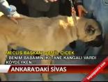 Ankara'daki Sivas