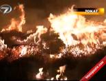 Hatay'da yangın paniği