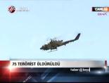 teror operasyonu - 75 terörist öldürüldü Videosu