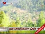 orman yangini - Alanya'nın ciğerleri üç gündür yanıyor Videosu