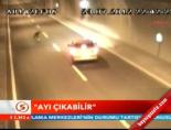 Dikkat ayı çıkabilir!