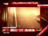 Dikkat 'ayı' çıkabilir!