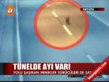 Tünelde ayı var!