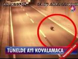 Tünelde ayı kovalamaca online video izle