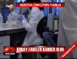 gdo - Kobay fareler kanser oldu Videosu