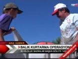 Balık Kurtarma Operasyonu