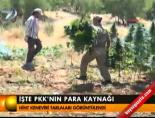 hint keneviri - İşte PKK'nın para kaynağı Videosu