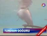 Yunusun Doğumu