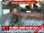 balik avi - Bu gidişle hamsi kalmayacak Videosu