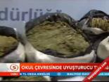 uyusturucu - Okul Çevresinde Uyuşturucu Tuzağı Videosu