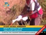 Leyleği havada görmediler
