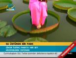 Su üstünde bir park