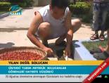 Yılan değil solucan