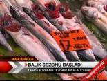 Balık Sezonu Başladı online video izle