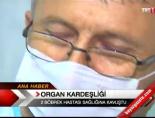 bobrek hastaligi - Organ Kardeşliği Videosu