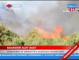 Balıkesir Alev Alev