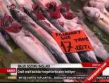 Balık Sezonu Başladı online video izle