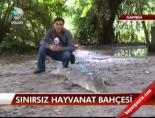 Sınırsız Hayvanat Bahçesi