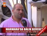 marmara denizi - Marmara'da balık bereketi Videosu
