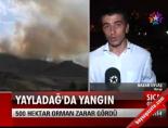 Yayladağ'da Yangın