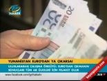 euro bolgesi - Yunanistan Euro'dan ya çıkarsa! Videosu